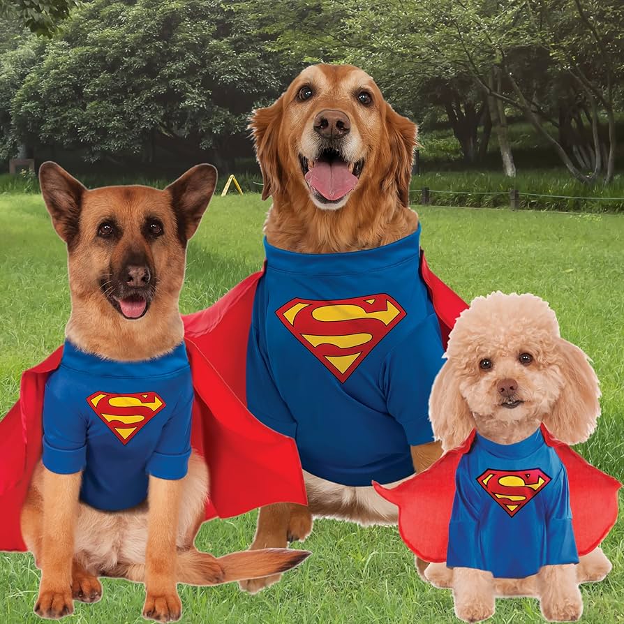 Disfraz de Superman para Perro 1